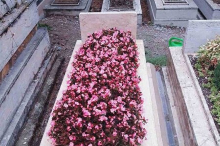 Başkent Mezar Bakım